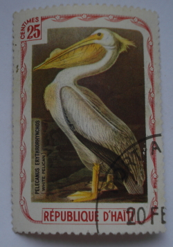 25 Centimes - Pelicanus Erythrorhynchos (White pelican)
