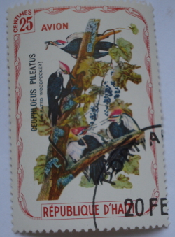 25 Centimes -  Pileated Woodpecker (Dryocopus pileatus)