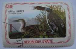 Image #1 of 50 Centimes -  Gavia Immer (Loon)