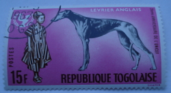 Image #1 of 15 Francs - Greyhound (Canis lupus familiaris), African Boy