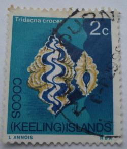 Image #1 of 2 Cents - Boring Clam (Tridacna crocea)