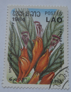 Image #1 of 2.00 Kip 1984 - Aeschynanthus speciosus