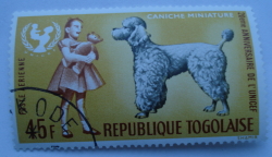 Image #1 of 45 Francs - Miniature Poodle (Canis lupus familiaris), German Girl