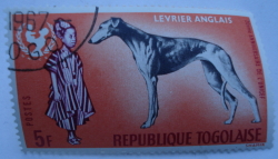 Image #1 of 5 Francs - Greyhound (Canis lupus familiaris), African Boy