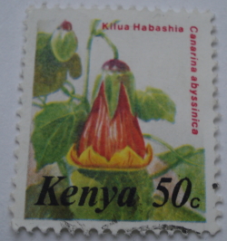 Image #1 of 50 Cents - Canarina abyssinica