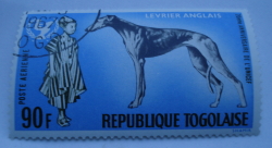 Image #1 of 90 Francs - Greyhound (Canis lupus familiaris), African Boy