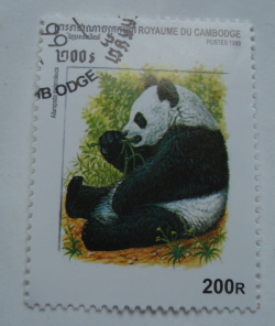 200 Riel 1999 - Giant Panda (Ailuropoda melanoleuca)