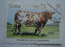 3 Centavos 1984 - Caribbean Cattle (Bos primigenius taurus)