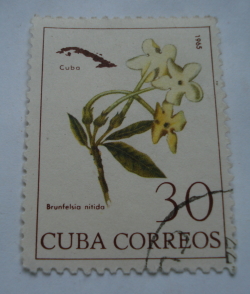 30 Centavos 1965 - Brunfelsia nitida