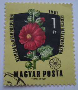 Image #1 of 1 Forint 1961 - Hollyhock violet (Althaea rosea)