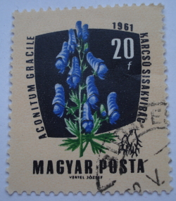 Image #1 of 20 Filler 1961 - Călugăria europeană (Aconitum gracille)