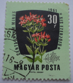 30 Filler 1961 - European centaury (Centaurium erythraea)