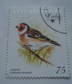 Image #1 of 75 Centavos 1997 - European Goldfinch (Carduelis carduelis)