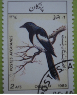 2 Afghani 1985 - Oiseaux