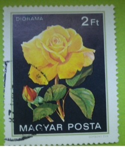 2 Forint - Roses - Diorama