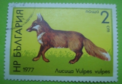 Image #1 of 2 Stotinki - Red fox