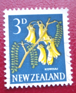 Image #1 of 3 Pence 1960 - Kowhai (Sophora microphylla)