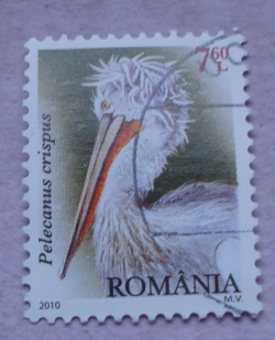 7.60 Lei 2010 - Dalmatian Pelican (Pelecanus crispus)