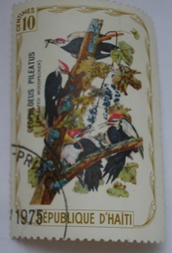 Image #1 of 10 Centimes - Pileated Woodpecker