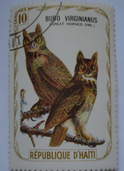 Image #1 of 10 Centimes - Great Horned Owl (Bubo virginianus)