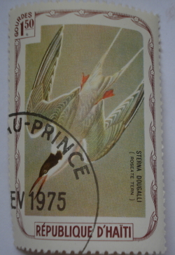 Image #1 of 1.50 Gourdes - Roseate Tern (Sterna dougallii)