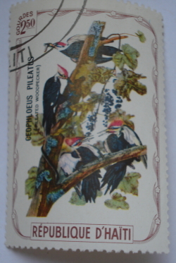 2.50 Gourdes - Pileated Woodpecker