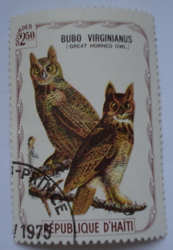 Image #1 of 2.50 Gourdes - Great Horned Owl (Bubo virginianus)
