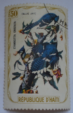 50 Centimes - Blue Jay (Cyanocitta cristata)