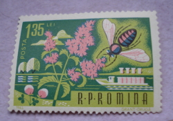 1.35 Lei 1963 - Honey Bee (Apis mellifica)