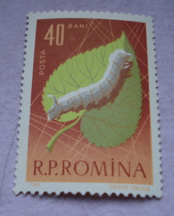 40 Bani 1963 - Silk Worm (Bombyx mori) on Mulberry Leaf (Morus sp.)