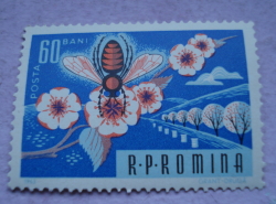60 Bani 1963 - Honey Bee (Apis mellifica)