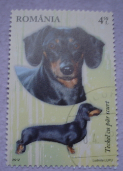 Image #1 of 4.50 Lei 2012 - Short-haired Dachshund (Canis lupus familiaris)