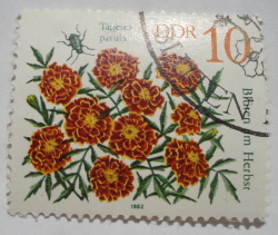 Image #1 of 10 Pfennig 1982 - Marigold (Tagetes patula)