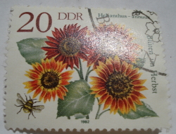 Image #1 of 20 Pfennig 1982 - Sunflower (Helianthus annuus)