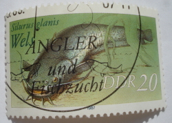 Image #1 of 20 Pfennig 1987 - Wels Catfish (Silurus glanis)