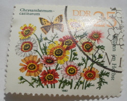 Image #1 of 25 Pfennig 1982 - Margaretă pictată (Chrysanthemum carinatum)