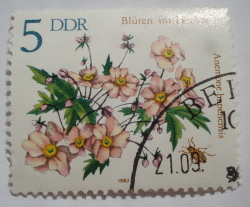Image #1 of 5 Pfennig 1982 - Anemona japoneză (Anemone hupehensis)