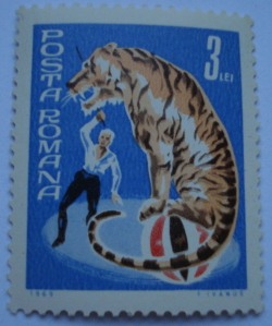 Image #1 of 3 Lei - Dresor de animale cu tigru