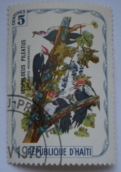 5 Centimes - Pileated Woodpecker (Dryocopus pileatus)
