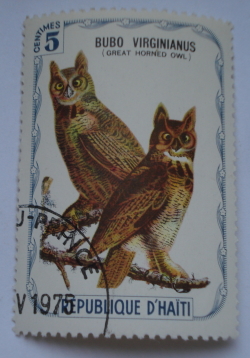 Image #1 of 5 Centimes - Great Horned Owl