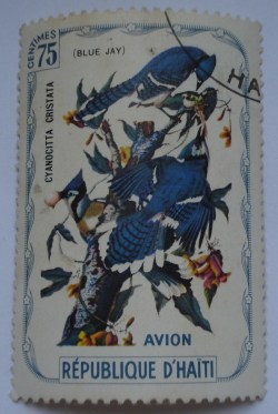 75 Centimes - Blue Jay (Cyanocitta cristata)