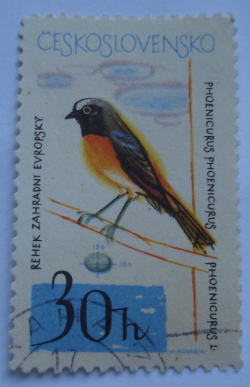 30 Haler - Common Redstart (Phoenicurus phoenicurus)