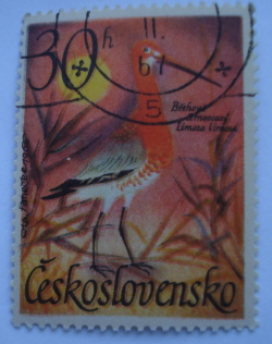 30 Haler - Black-tailed Godwit (Limosa limosa)