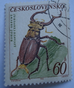 60 Haler 1962 - Stag Beetle (Lucanus cervus)