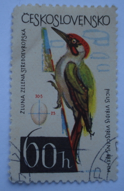 60 Haler - Green Woodpecker (Picus viridis)