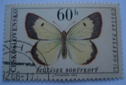 60 Haler 1966 - Moorland Clouded Yellow (Colias palaeno)