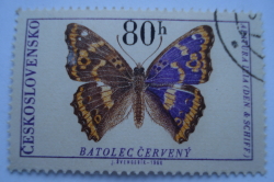 80 Haler 1966 - Împăratul violet mic (Apatura ilia)