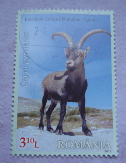 3.10 Lei 2012 - Spanish Ibex (Capra pyrenaica)