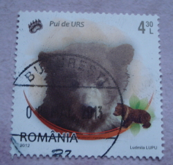 4.30 Lei 2012 - Brown Bear (Ursus arctos)