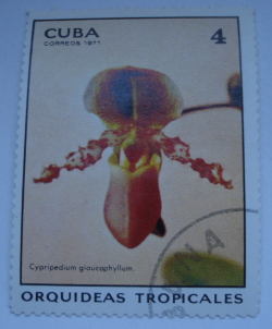 4 Centavos 1971 - Cypripedium gloucophyllum